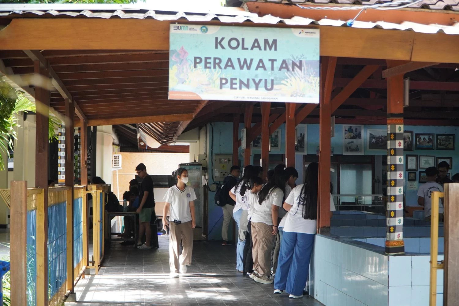 Turtle Conservation Serangan